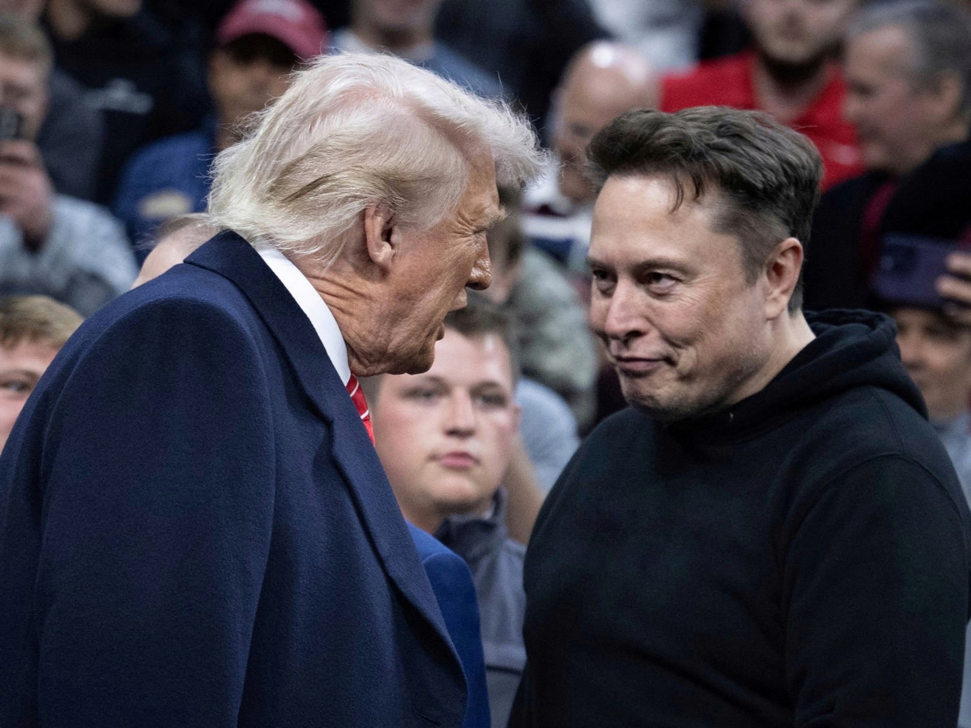 trump musk
