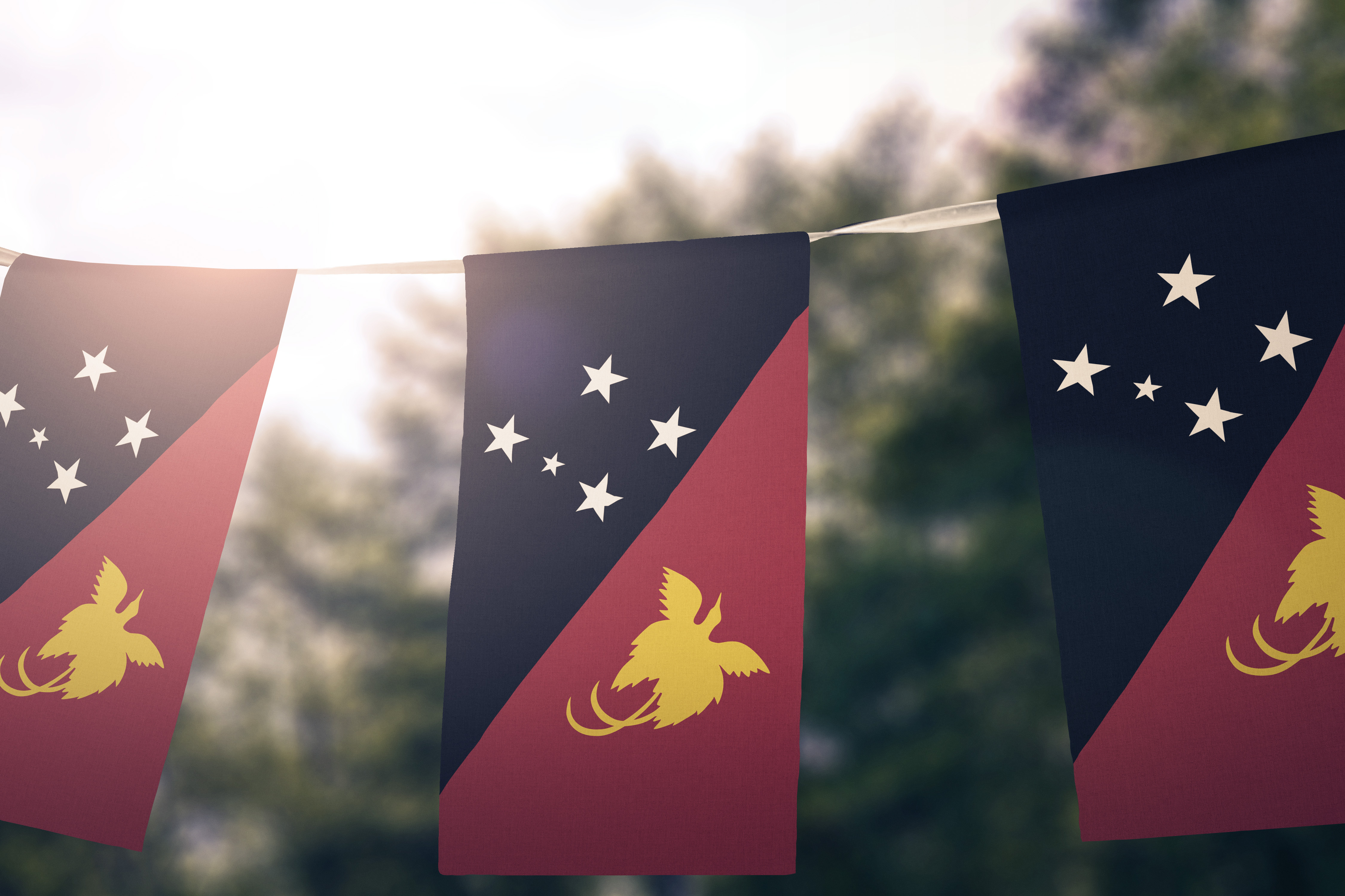 PNP FLAG