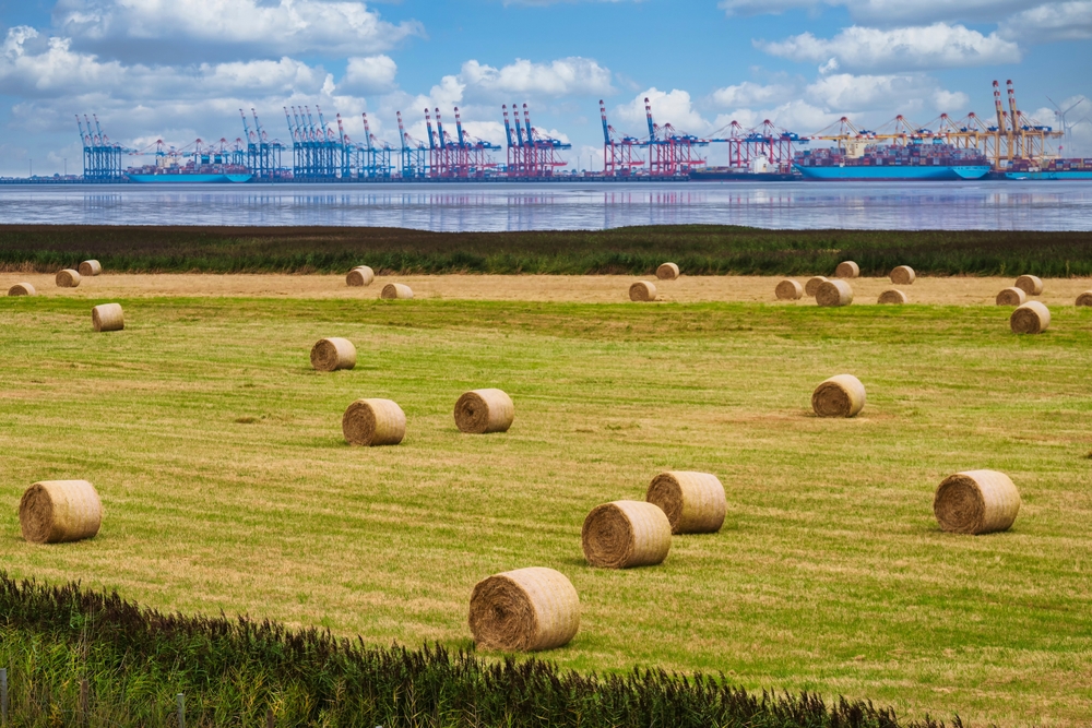 Champs de blé et fond portuaire