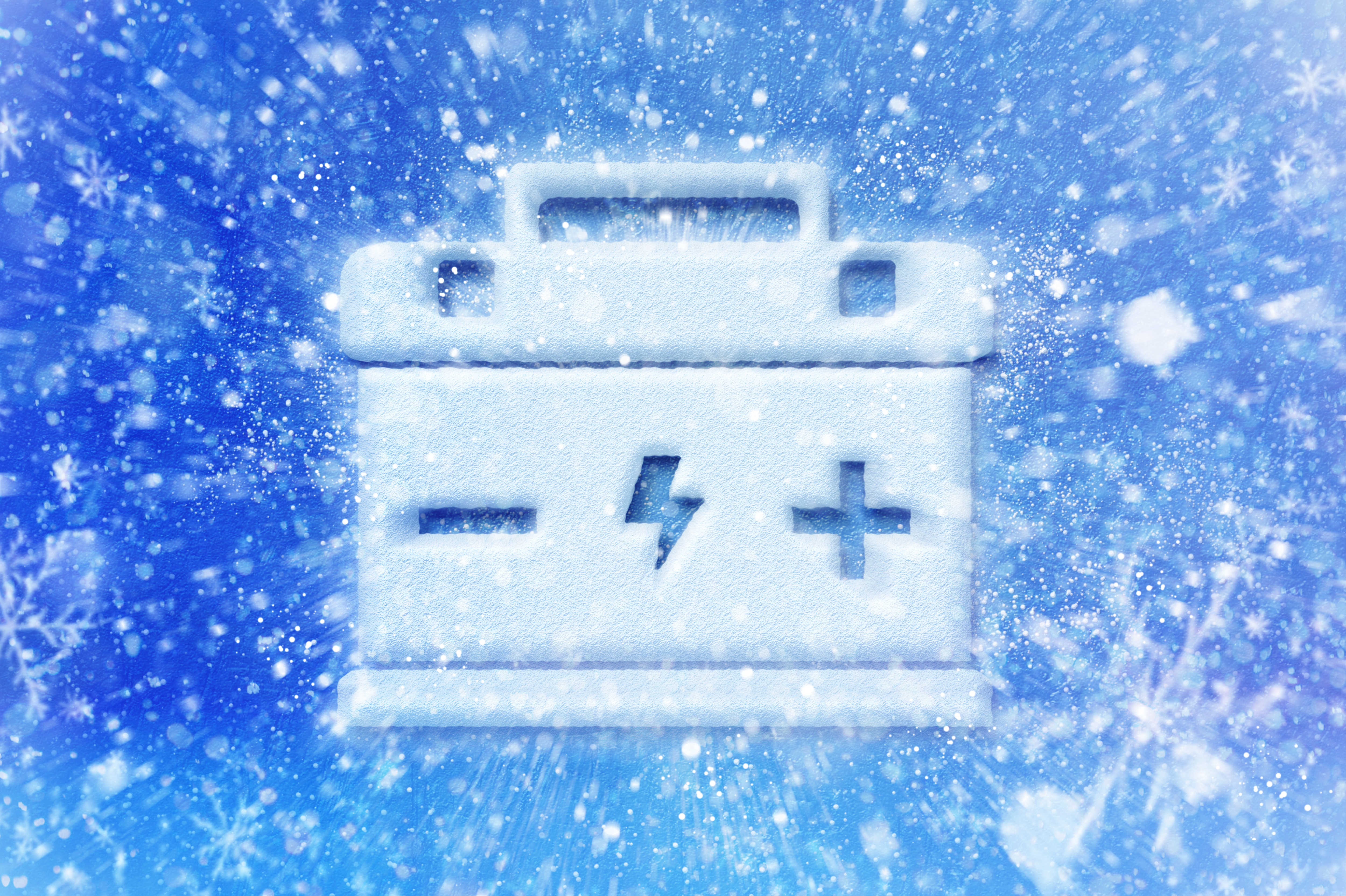 Shutterstock / 515641543